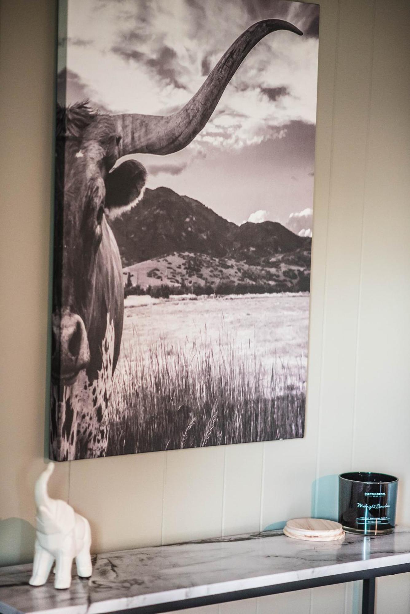 Mount Tabor Ranch Near Vt - King Bed/Fast Wi-Fi Villa Blacksburg Kültér fotó